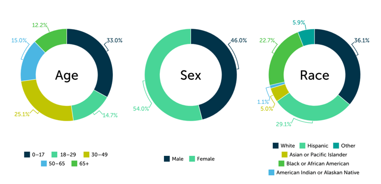 Chart2_Demographic Characteristics of SNAP Recipients